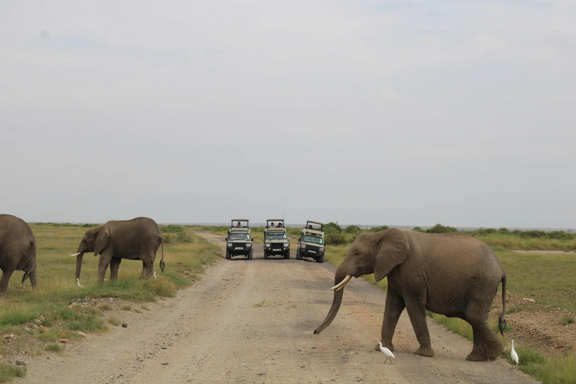 Amboseli