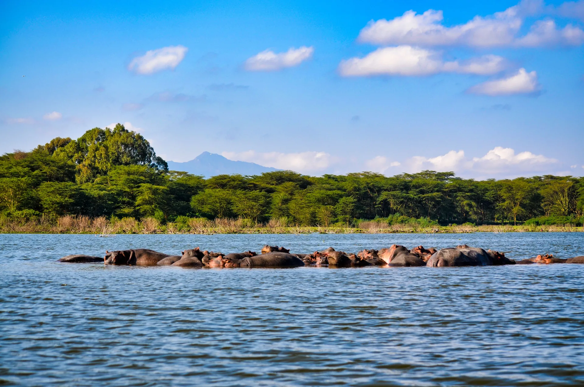 Lake Naivasha