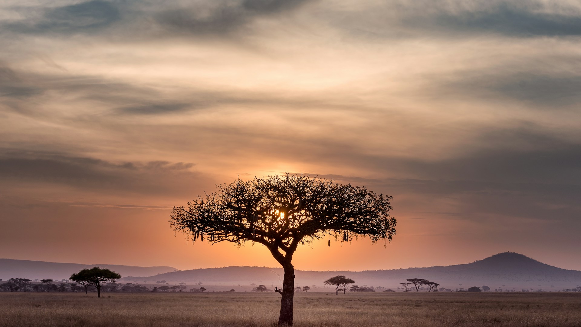 Naivasha Day Escape